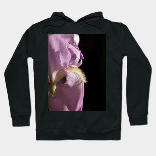 Royal purple iris Hoodie